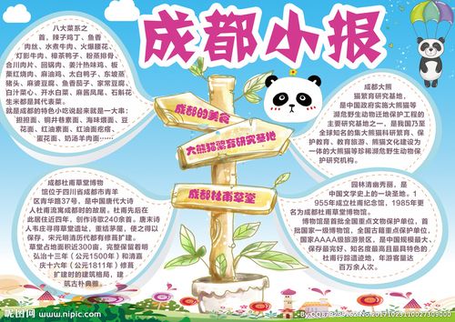 成都交通情况调查小报内容-成都交通情况调查小报内容有哪些