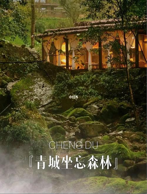 成都坐忘森林民宿-成都坐忘森林民宿的特色竞争策略