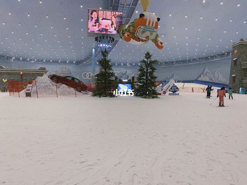 成都室内滑雪场在哪里（成都室内滑雪场门票）