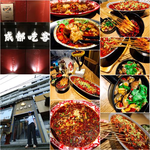 成都凤凰大街站美食-