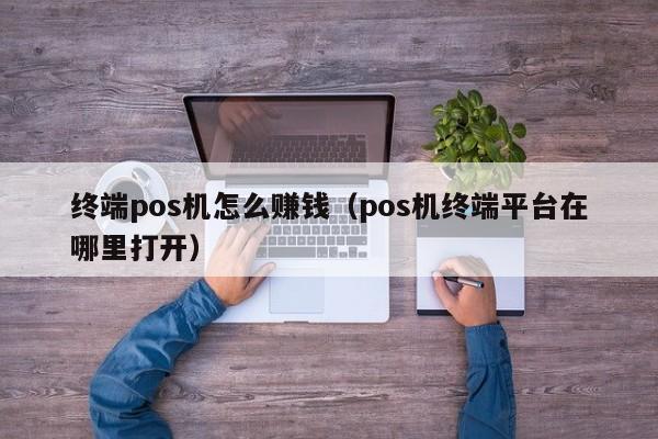 终端pos机怎么赚钱（pos机终端平台在哪里打开）