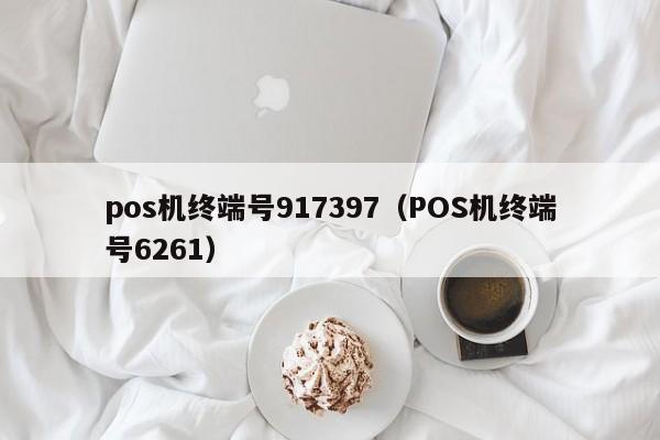 pos机终端号917397（POS机终端号6261）