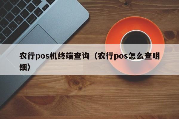 农行pos机终端查询（农行pos怎么查明细）