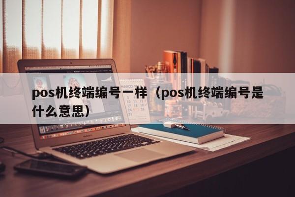 pos机终端编号一样（pos机终端编号是什么意思）