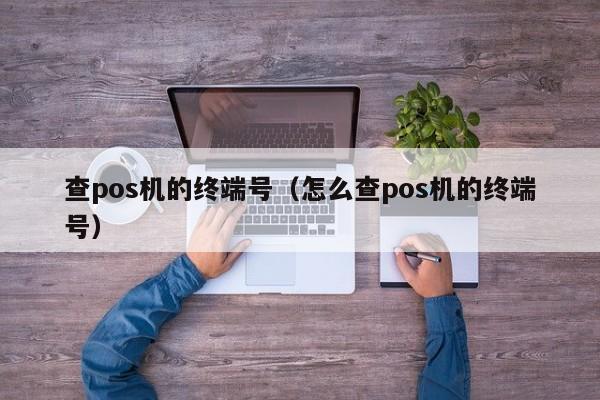 查pos机的终端号（怎么查pos机的终端号）