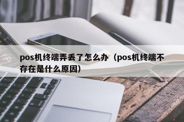 pos机终端弄丢了怎么办（pos机终端不存在是什么原因）