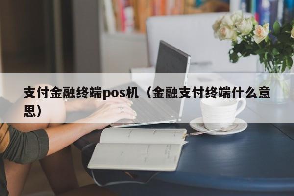 支付金融终端pos机（金融支付终端什么意思）