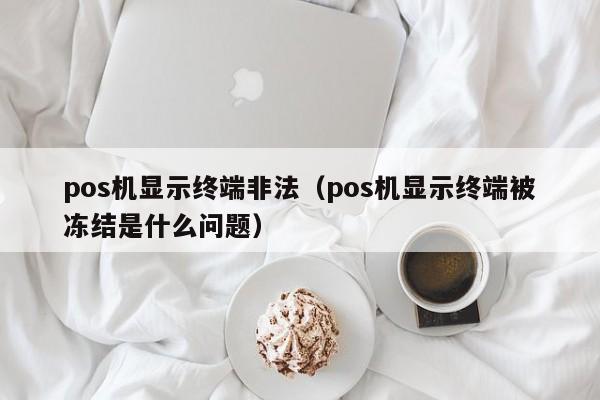 pos机显示终端非法（pos机显示终端被冻结是什么问题）