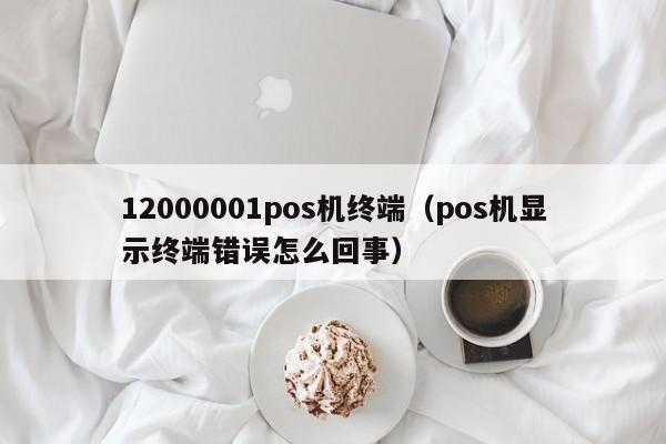 12000001pos机终端（pos机显示终端错误怎么回事）