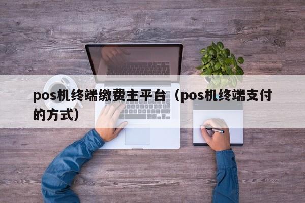 pos机终端缴费主平台（pos机终端支付的方式）