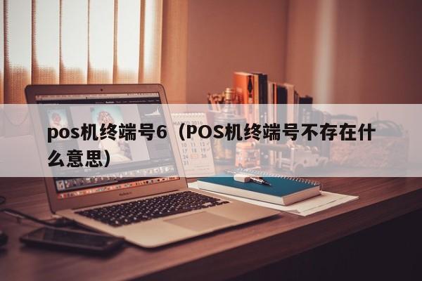 pos机终端号6（POS机终端号不存在什么意思）