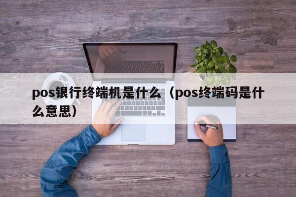 pos银行终端机是什么（pos终端码是什么意思）