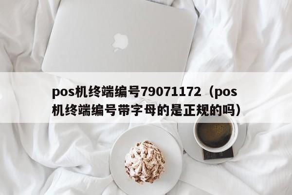pos机终端编号79071172（pos机终端编号带字母的是正规的吗）