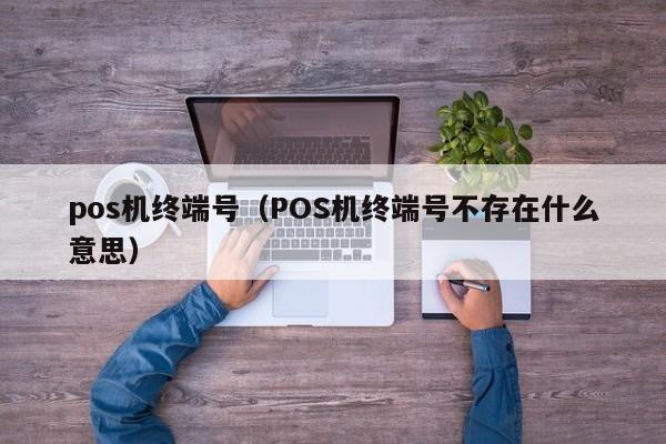 pos机终端号（POS机终端号不存在什么意思）