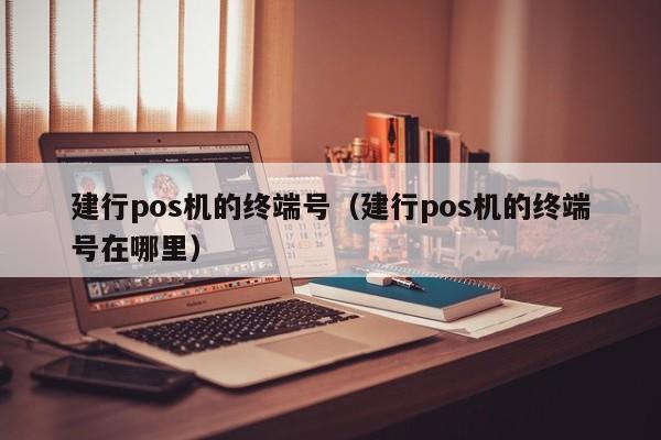 建行pos机的终端号（建行pos机的终端号在哪里）