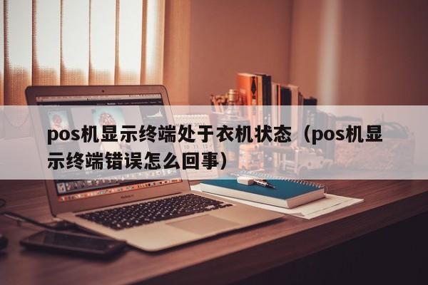 pos机显示终端处于衣机状态（pos机显示终端错误怎么回事）