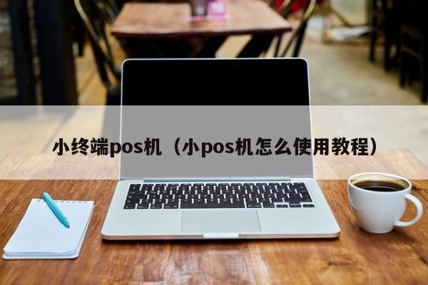 小终端pos机（小pos机怎么使用教程）