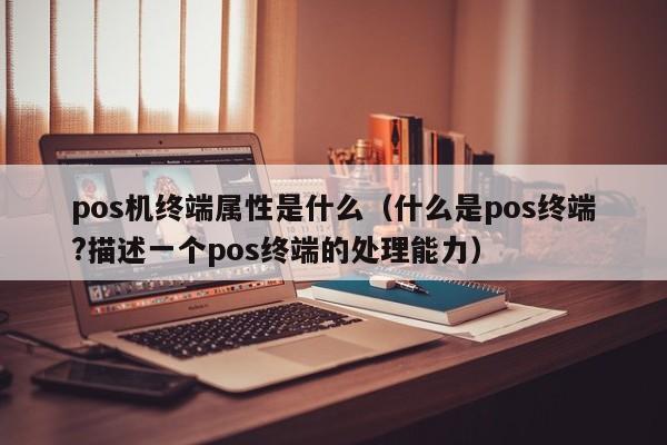 pos机终端属性是什么（什么是pos终端?描述一个pos终端的处理能力）