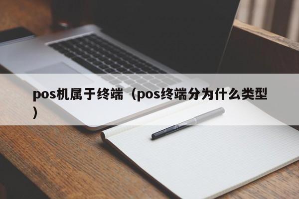 pos机属于终端（pos终端分为什么类型）