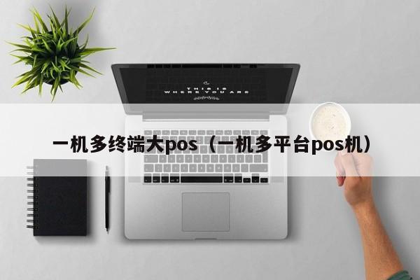 一机多终端大pos（一机多平台pos机）