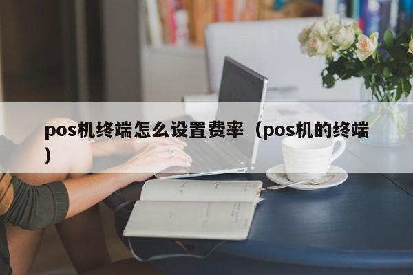 pos机终端怎么设置费率（pos机的终端）