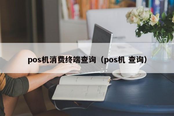 pos机消费终端查询（pos机 查询）