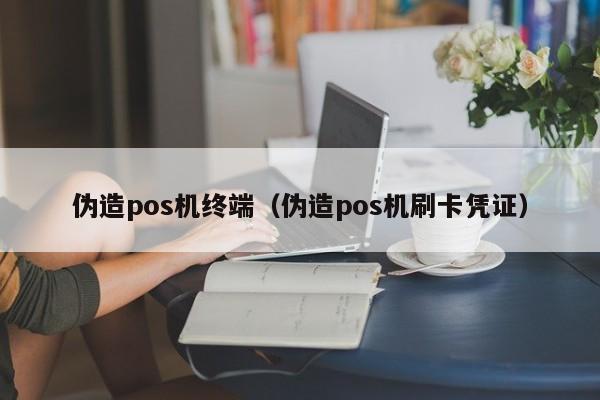 伪造pos机终端（伪造pos机刷卡凭证）