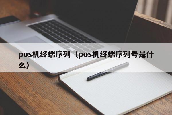 pos机终端序列（pos机终端序列号是什么）