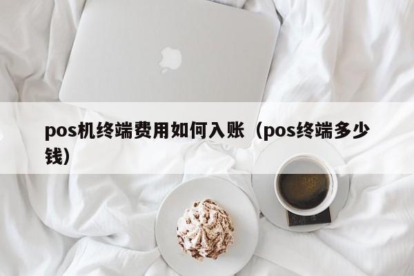 pos机终端费用如何入账（pos终端多少钱）