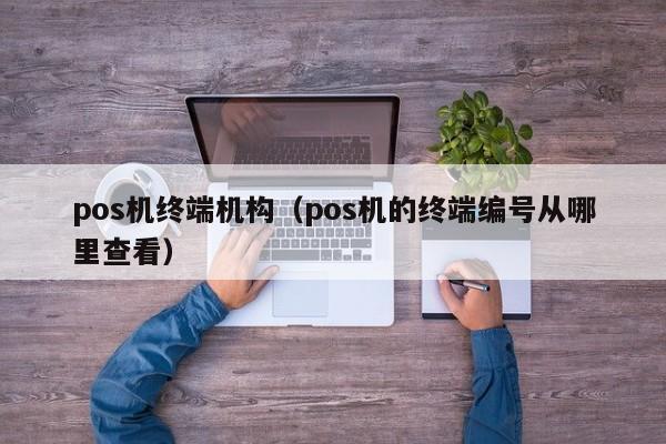 pos机终端机构（pos机的终端编号从哪里查看）