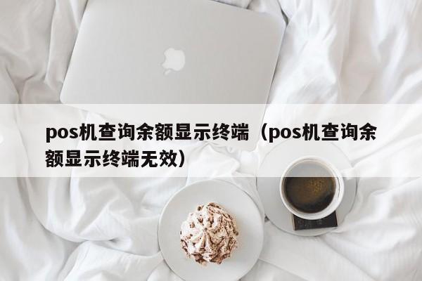 pos机查询余额显示终端（pos机查询余额显示终端无效）