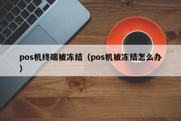 pos机终端被冻结（pos机被冻结怎么办）