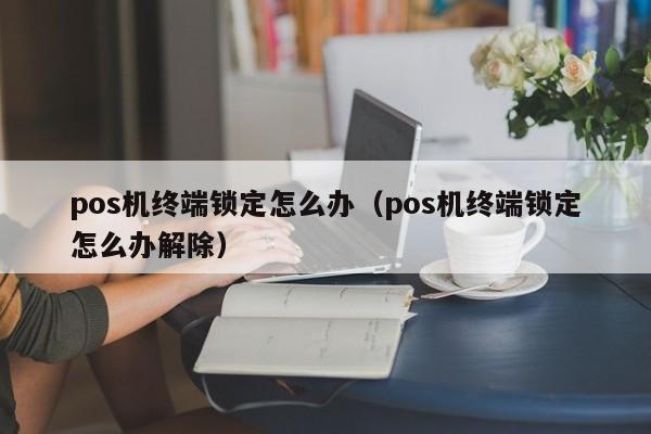 pos机终端锁定怎么办（pos机终端锁定怎么办解除）