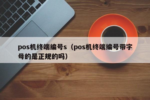 pos机终端编号s（pos机终端编号带字母的是正规的吗）