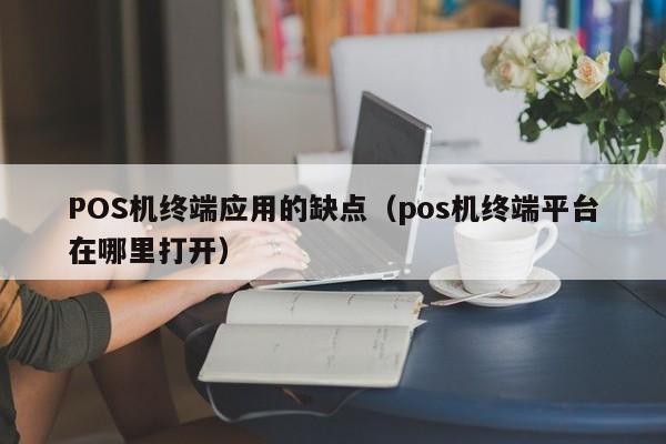 POS机终端应用的缺点（pos机终端平台在哪里打开）