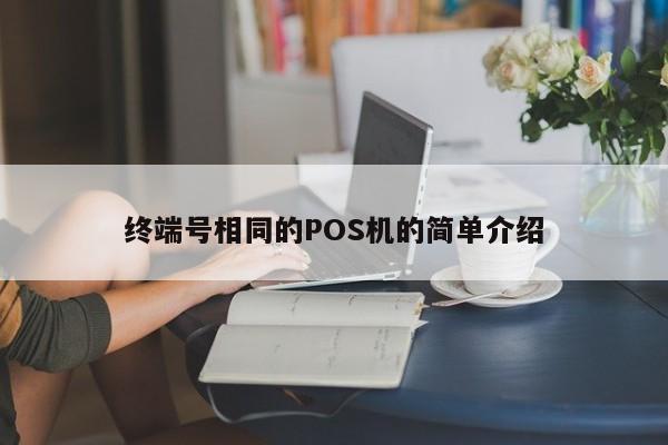 终端号相同的POS机的简单介绍