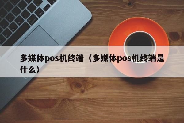 多媒体pos机终端（多媒体pos机终端是什么）