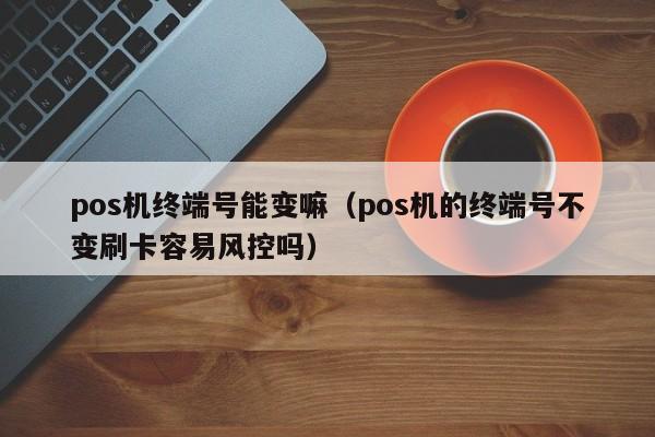 pos机终端号能变嘛（pos机的终端号不变刷卡容易风控吗）