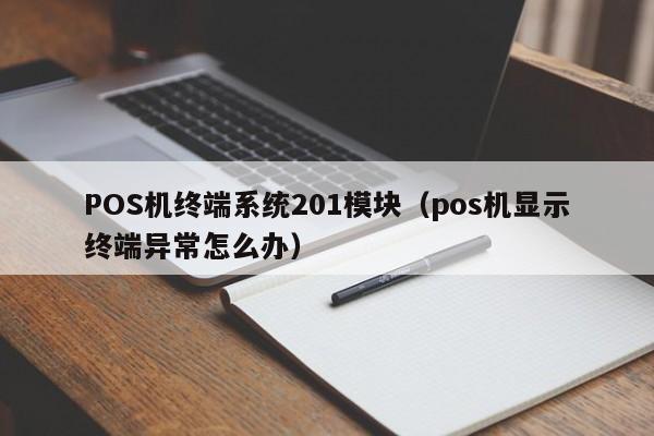 POS机终端系统201模块（pos机显示终端异常怎么办）
