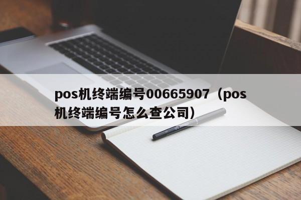 pos机终端编号00665907（pos机终端编号怎么查公司）
